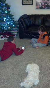 IMG_20141203_180532_047